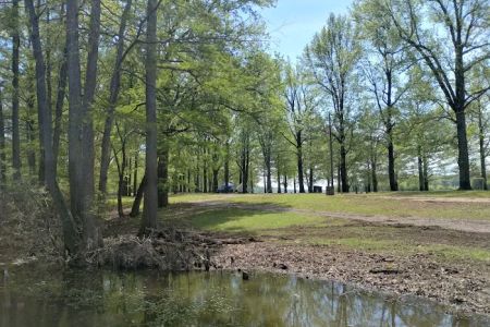 Horseshoe Lake State Fish & Wildlife Area-West Campground