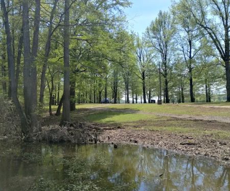 Horseshoe Lake State Fish & Wildlife Area-West Campground