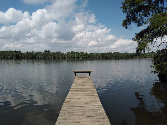 Horseshoe Lake State Fish & Wildlife Area-West Campground 6