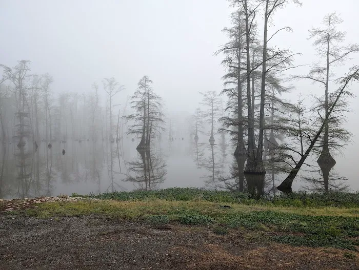 Horseshoe Lake State Fish & Wildlife Area-West Campground 7