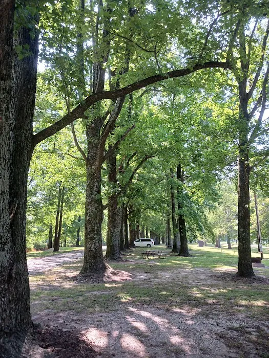 Horseshoe Lake State Fish & Wildlife Area-West Campground 10