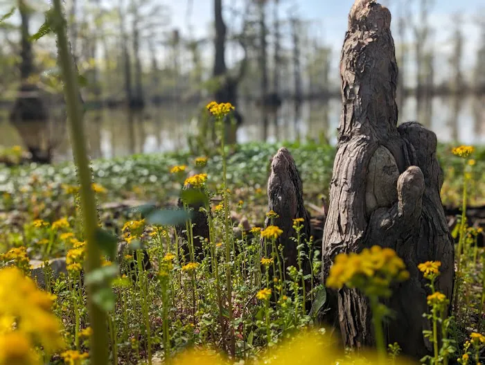 Horseshoe Lake State Fish & Wildlife Area-West Campground 4