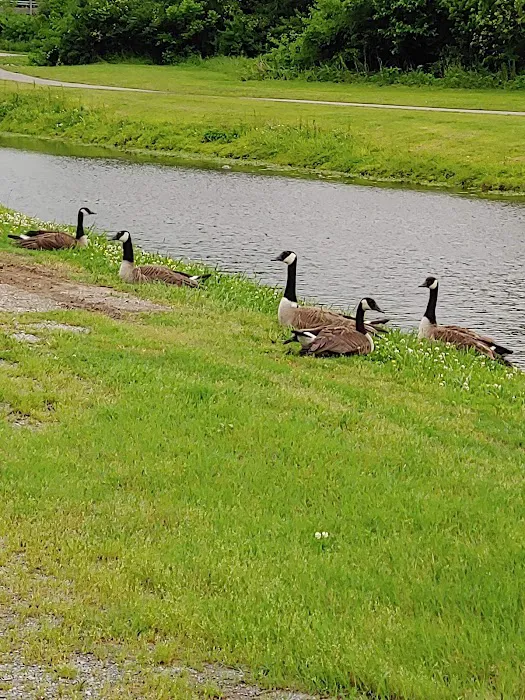 Cape Camping & RV Park 7