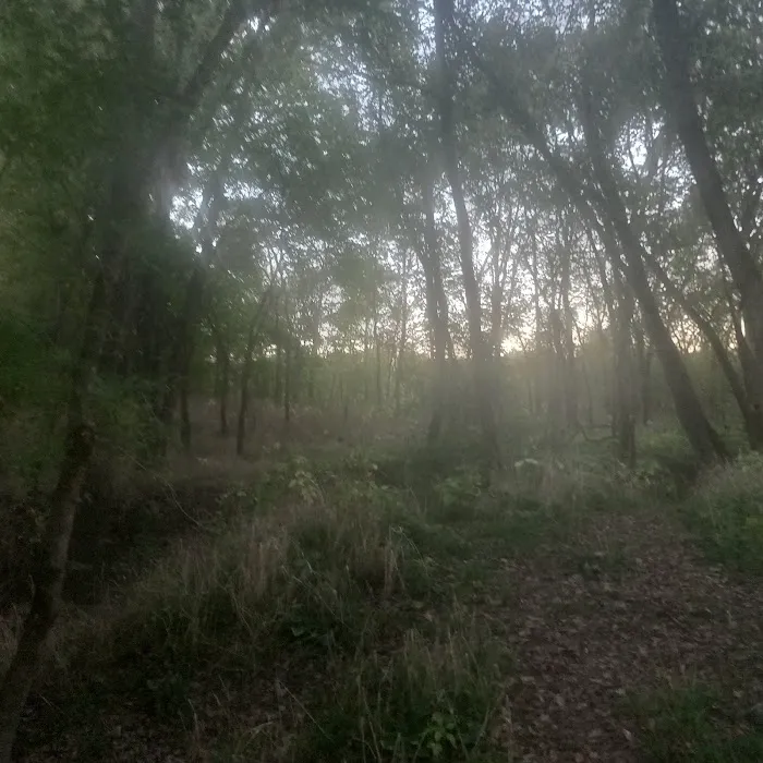 Primitive Camping 7