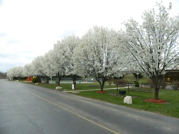 Cottonwoods RV Park 2