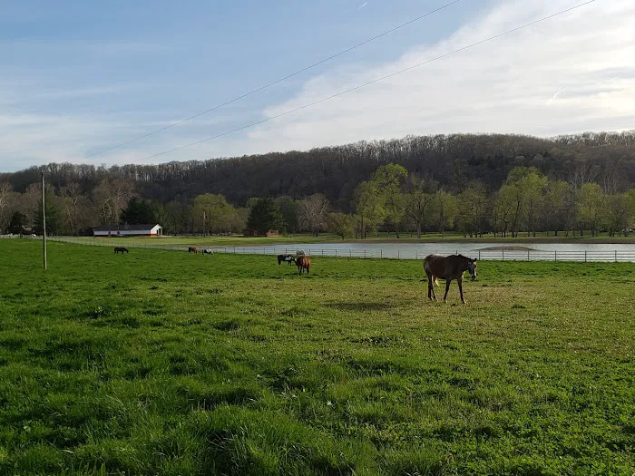 Huzzah Valley Resort 5