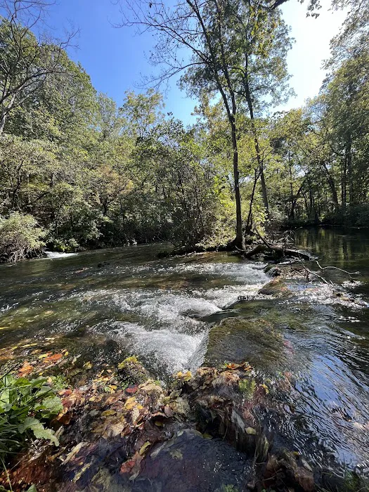 Meramec Springs Country Store & RV Park 6