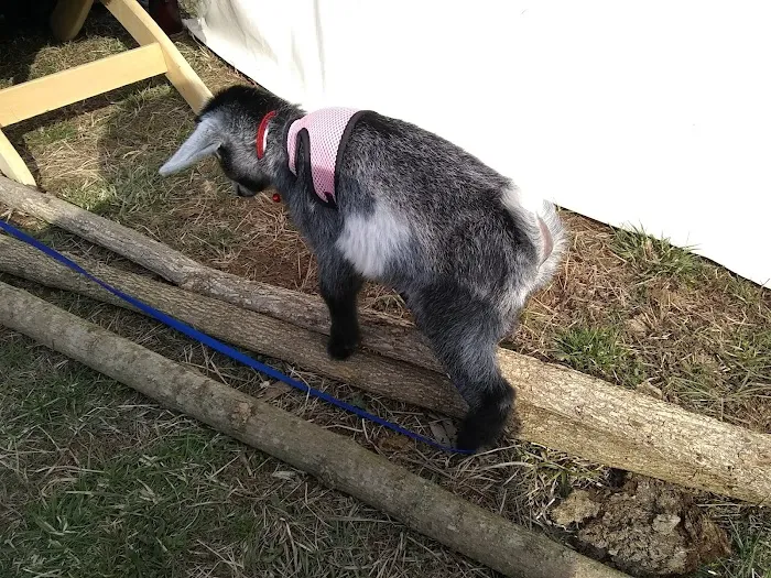 Barks Plantation 7