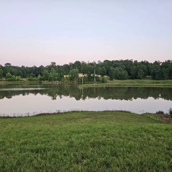 Barks Plantation 1