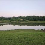 Barks Plantation