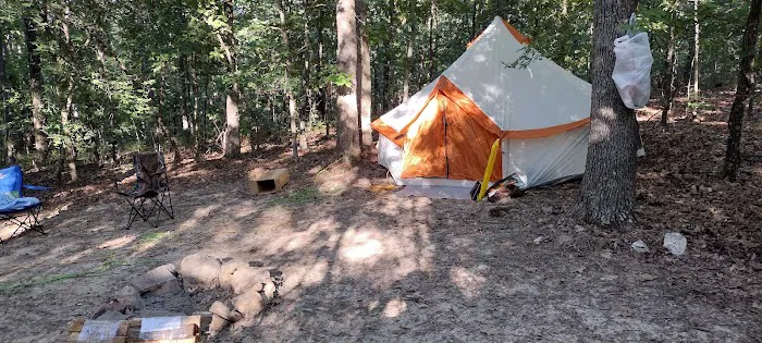 Camp Dawgwoodz 2