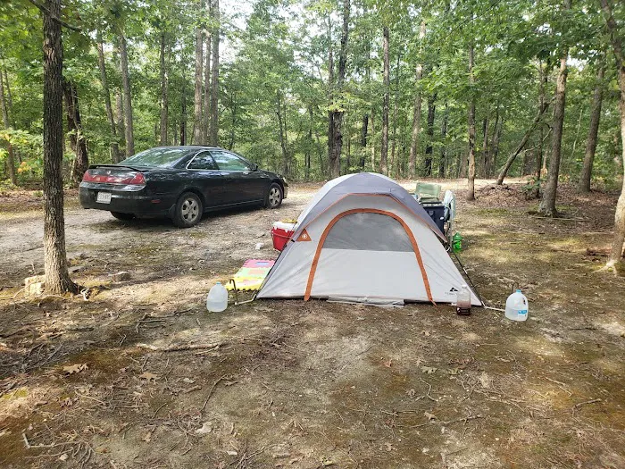 Camp Dawgwoodz 1