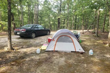 Camp Dawgwoodz