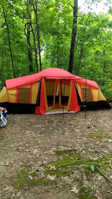 Camp Dawgwoodz 6
