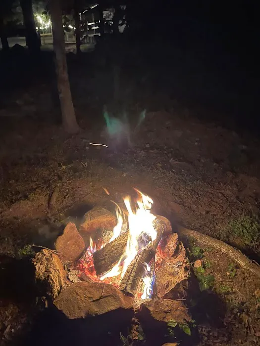 Camp Dawg Woodz 1