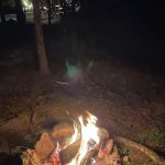 Camp Dawg Woodz