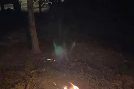 Camp Dawg Woodz