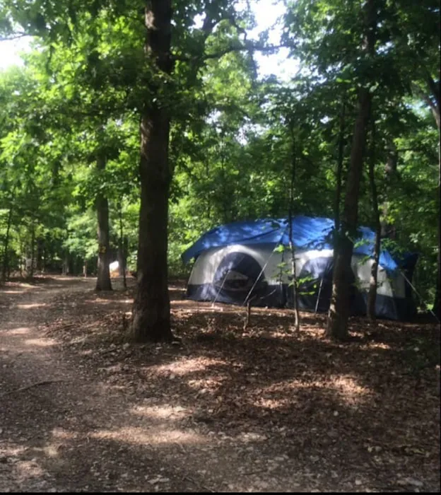 Camp Dawg Woodz 5