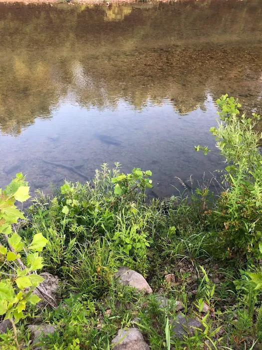 Arrowhead Campground 9
