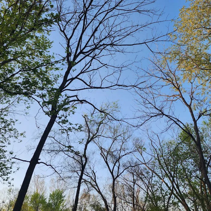 Castor River Hideaway Campground 2