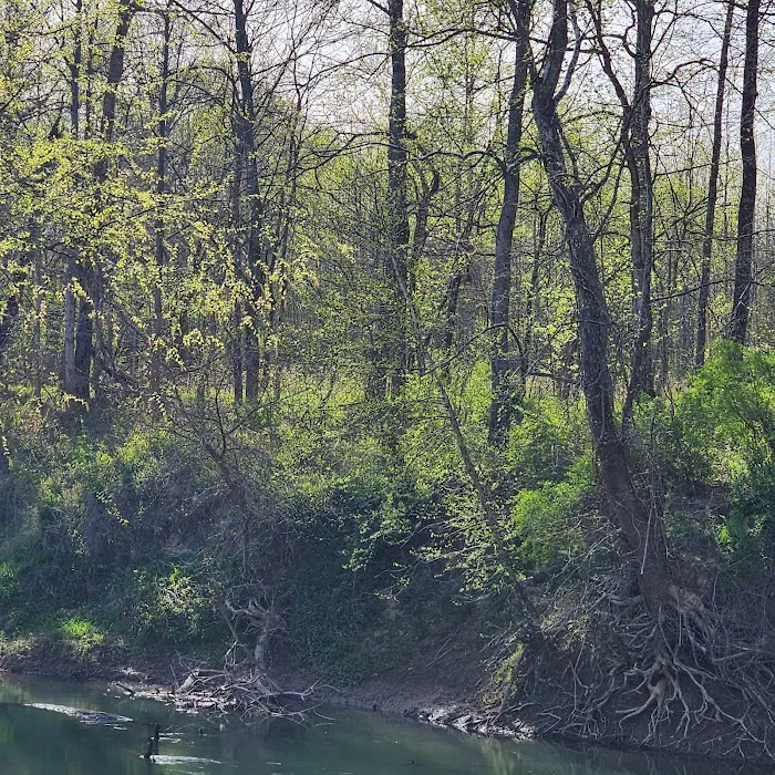 Castor River Hideaway Campground 10