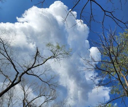 Castor River Hideaway Campground