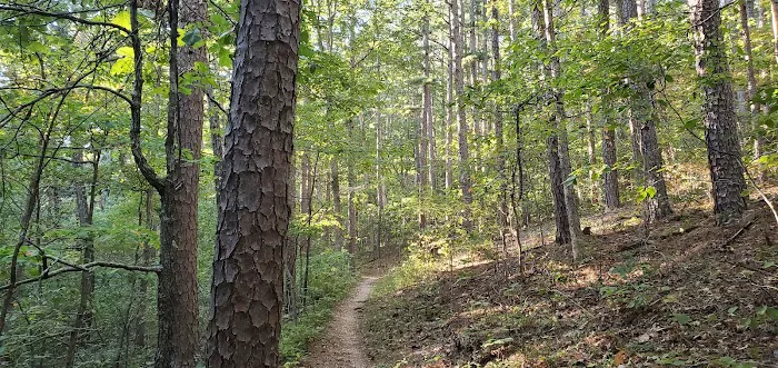 Brazil Creek Campground 6
