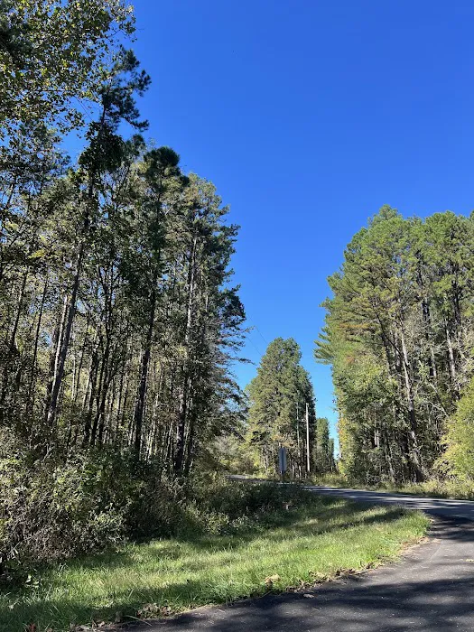 Brazil Creek Campground 4