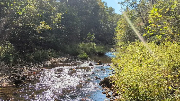 Brazil Creek Campground 3