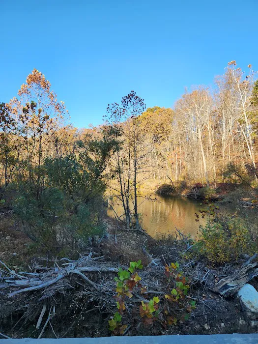 Hazel Creek Campground 1