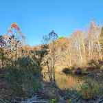 Hazel Creek Campground