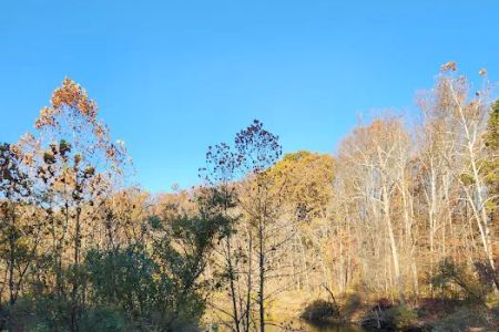 Hazel Creek Campground
