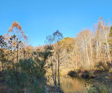 Hazel Creek Campground