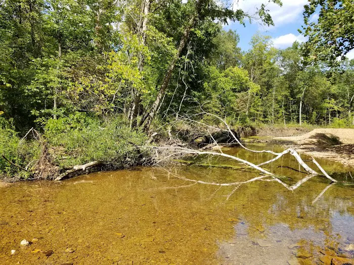Hazel Creek Campground 5