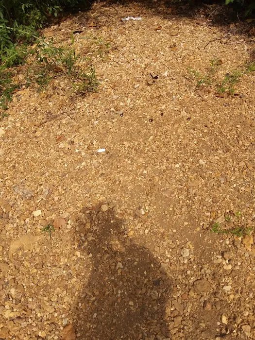 Hazel Creek Campground 10