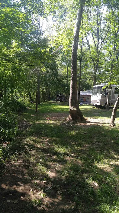 Hazel Creek Campground 3
