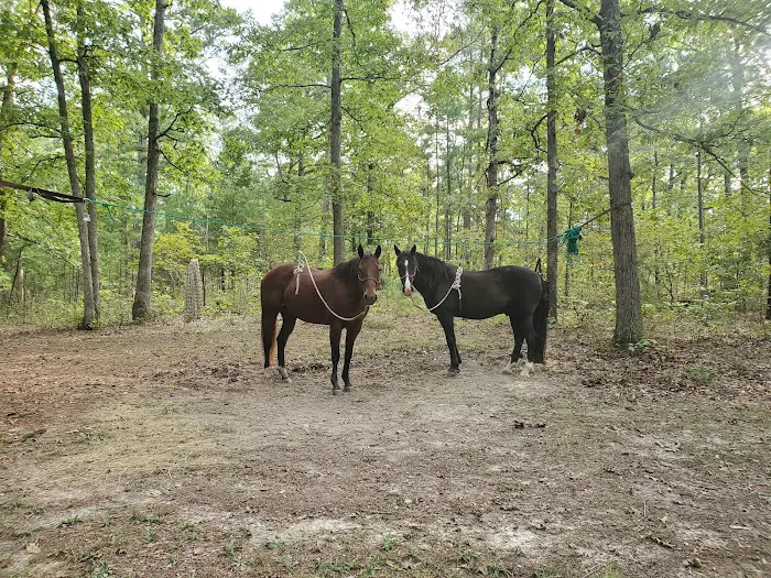 Berryman Campground 10