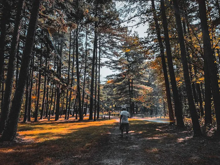 Berryman Campground 9