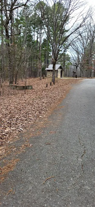 Berryman Campground 6