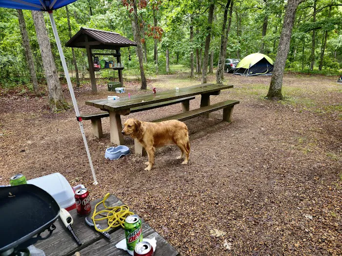 Council Bluff Lake (Wild Boar) Campground 6