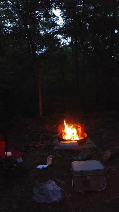 Wild Boar Ridge Campground 2