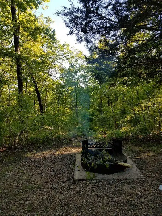 Wild Boar Ridge Campground 10