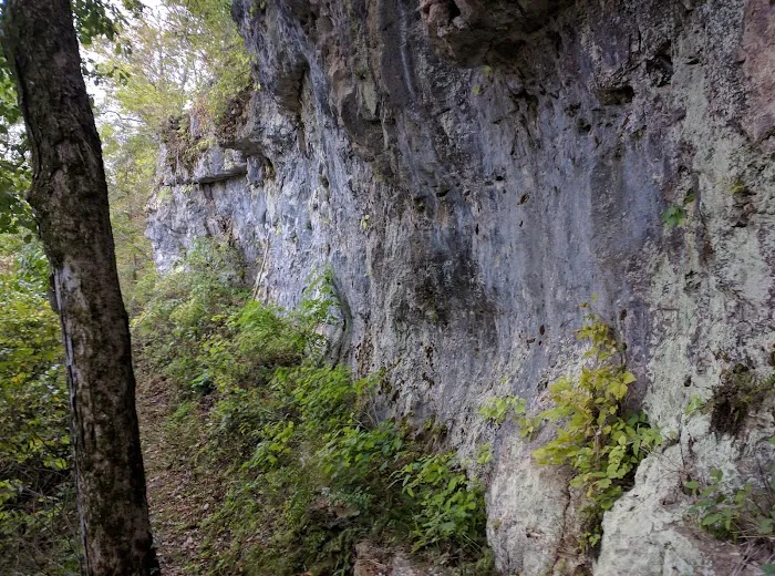 Sutton Bluff Recreation Area 7