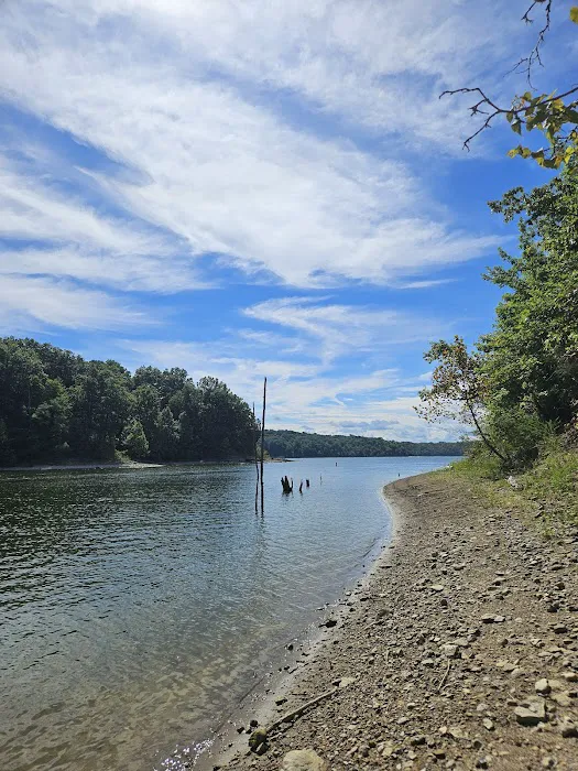 East Fork State Park Campground 6