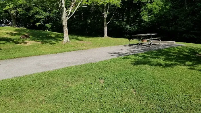 Paint Creek Campground 4