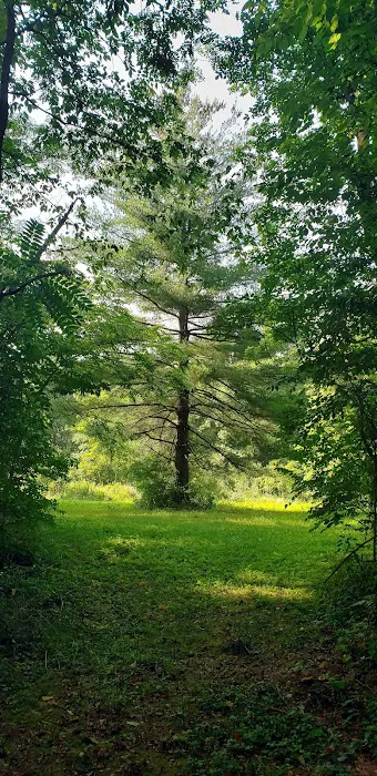 Paint Creek Horse Camp 8