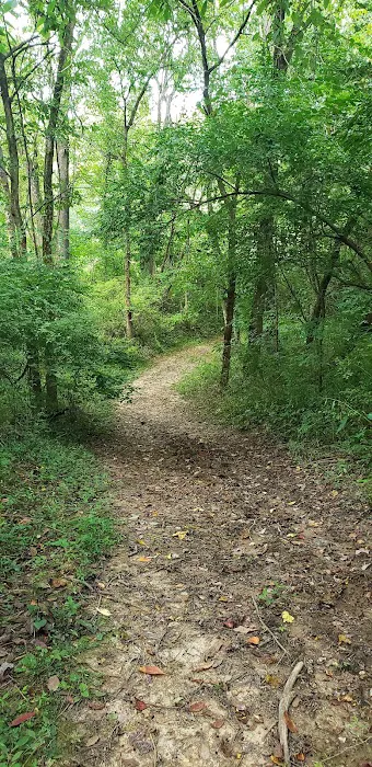 Paint Creek Horse Camp 4