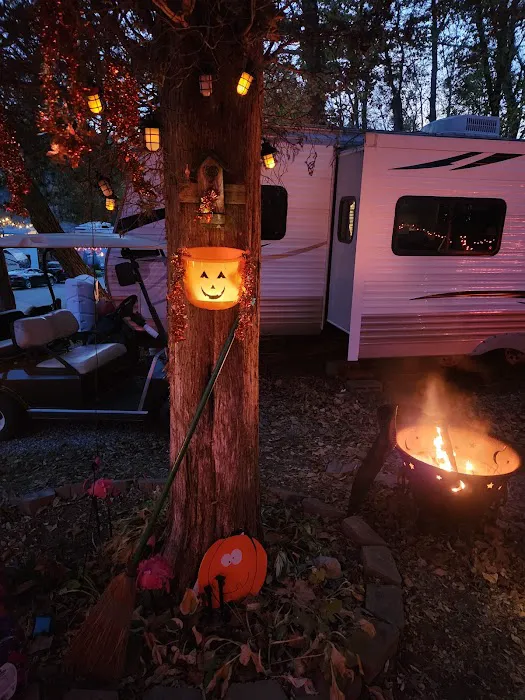 shady trails campground 6