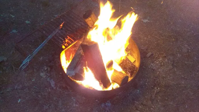 shady trails campground 1