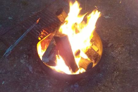 shady trails campground